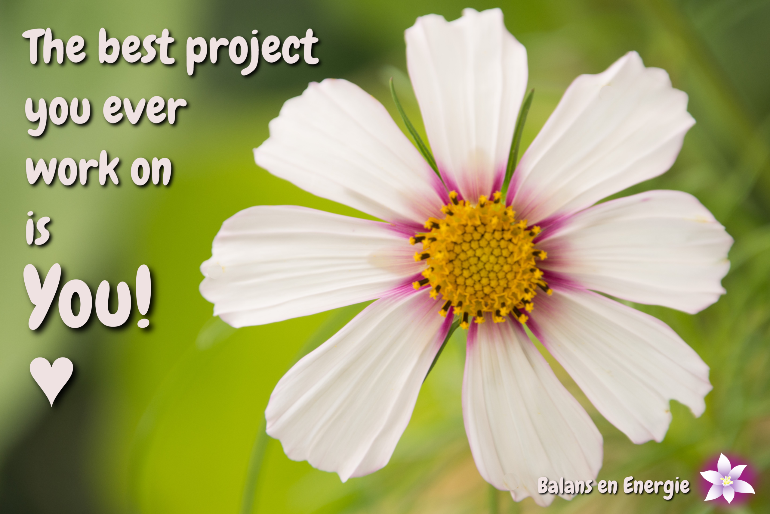 The best project you ever work on is you! Balans en Energie. Fotografie en bewerking door Marion.