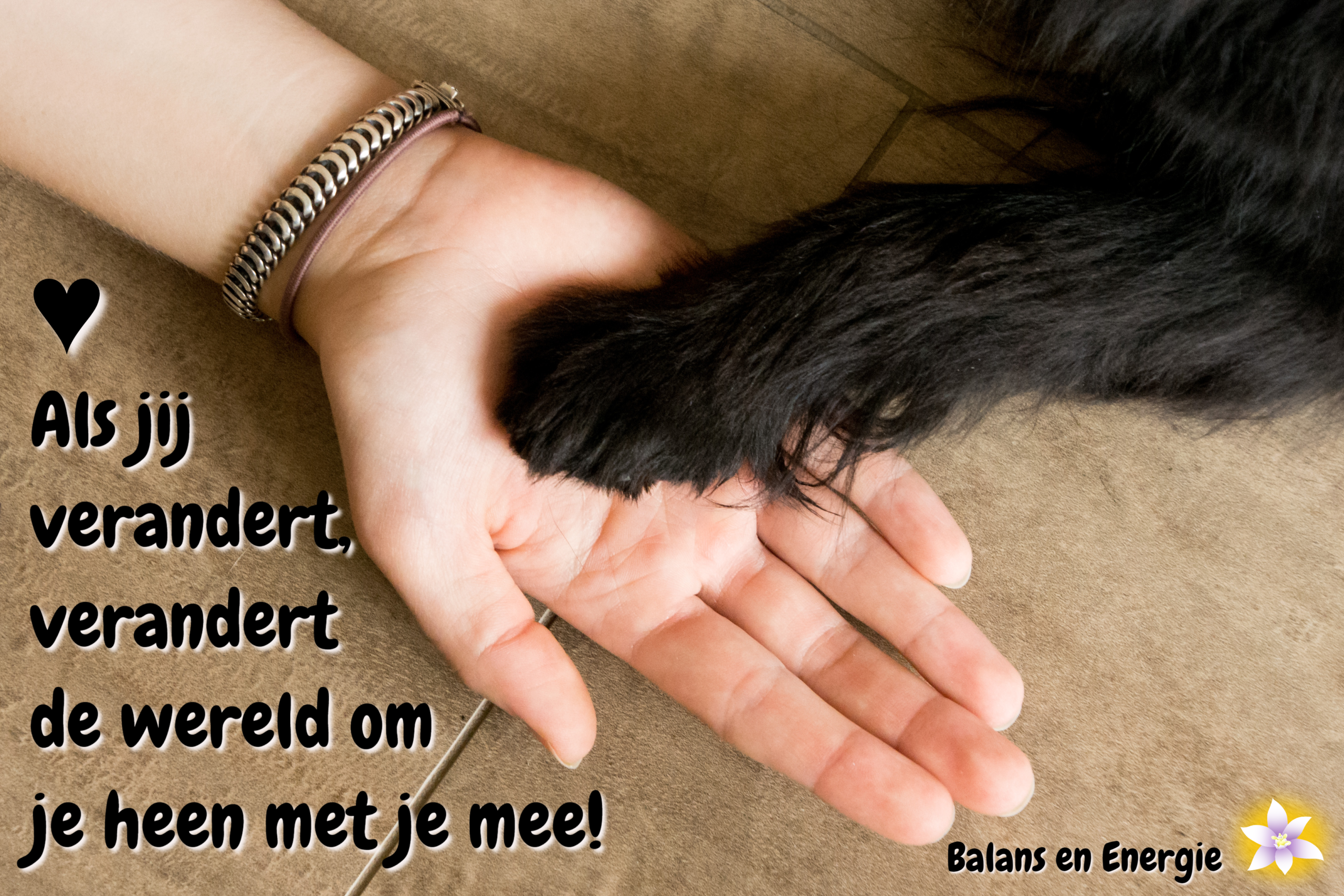 Als jij verandert, verandert de wereld om je heen met je mee! Balans en Energie. Fotografie en bewerking door Marion.