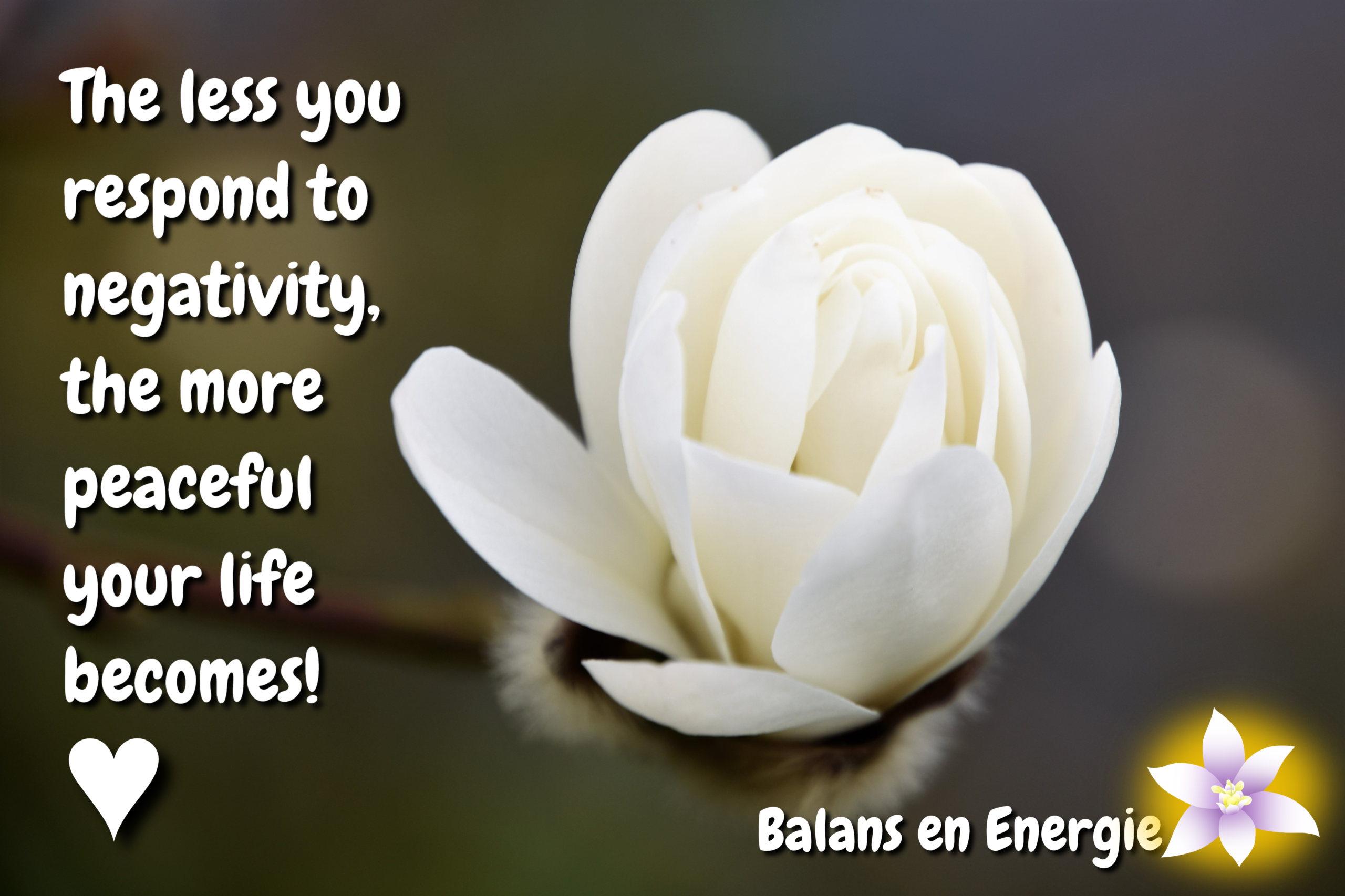 The less you respond to negativity, the more peaceful your life becomes! Balans en Energie. Fotografie en bewerking door Marion.