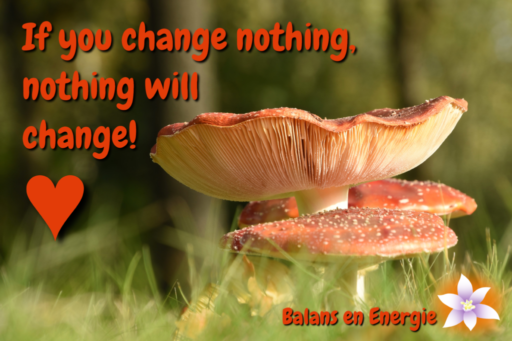 If you change nothing, nothing will change! Balans en Energie. Fotografie en bewerking door Marion.