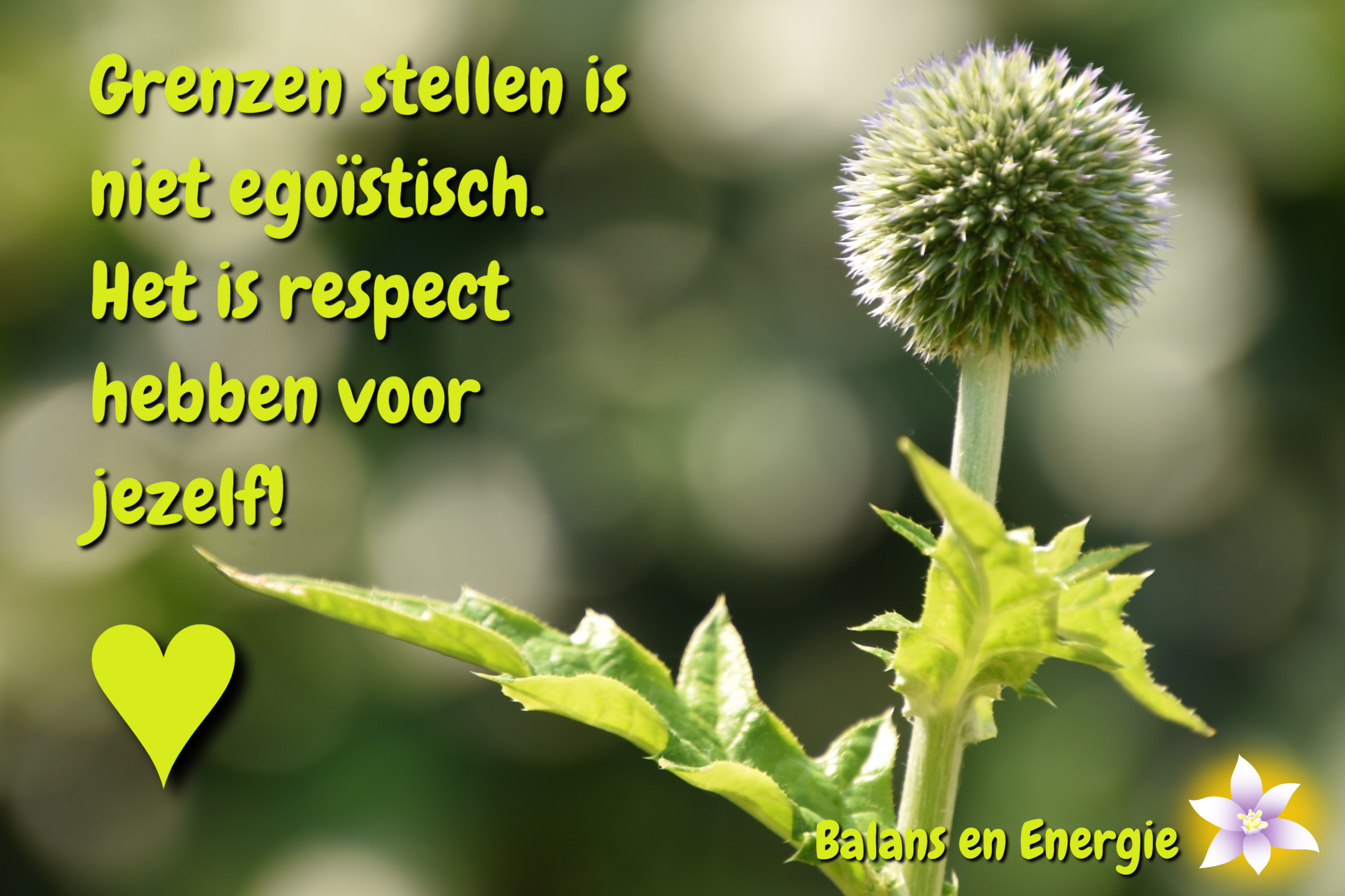 Grenzen stellen is niet egoïstisch. Het is respect hebben voor jezelf! Balans en Energie. Fotografie en bewerking door Marion.